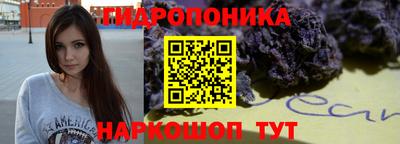 метадон Берёзовский