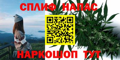 метадон Берёзовский